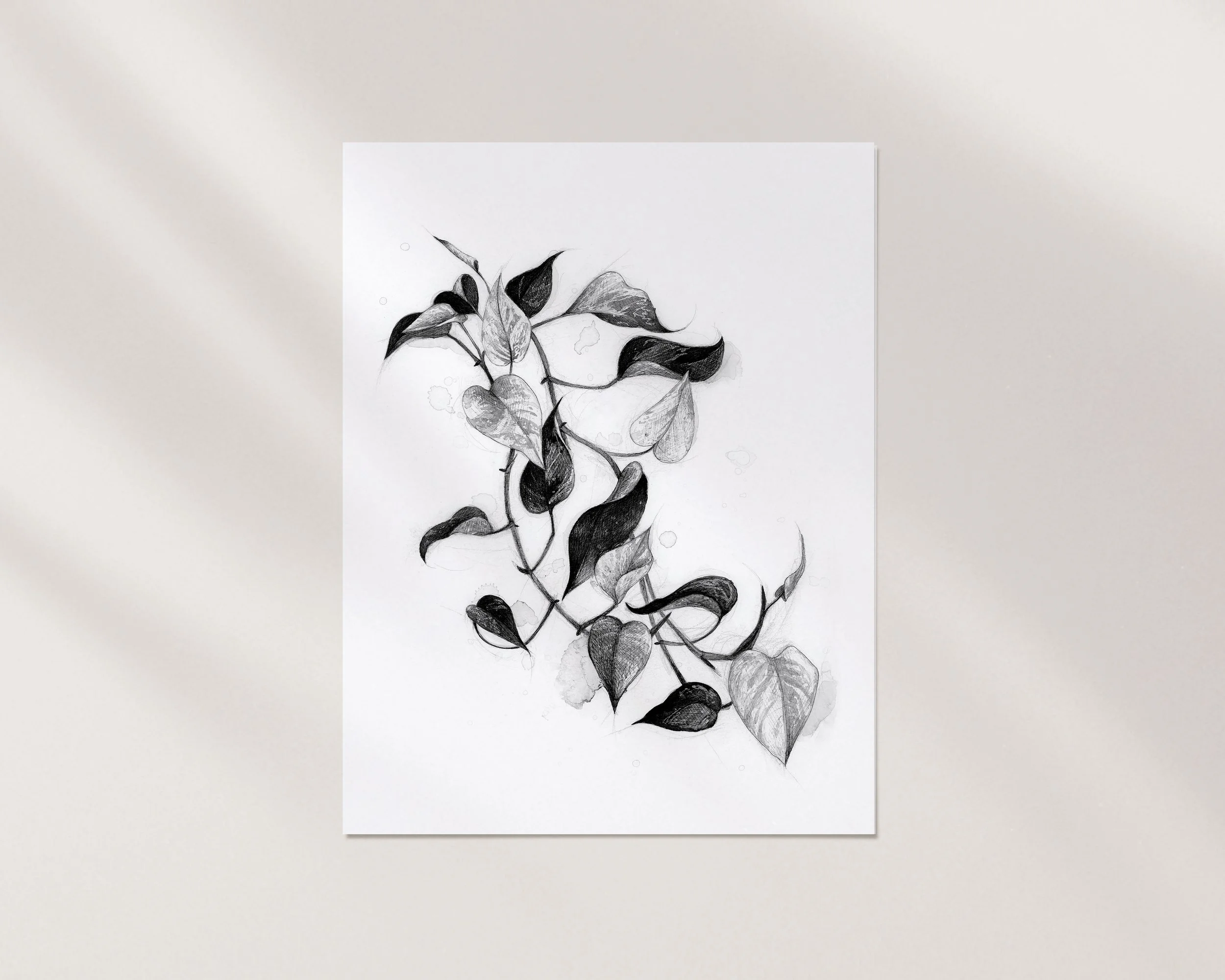 POTHOS-carte de souhaits-mockup-simple.jpg