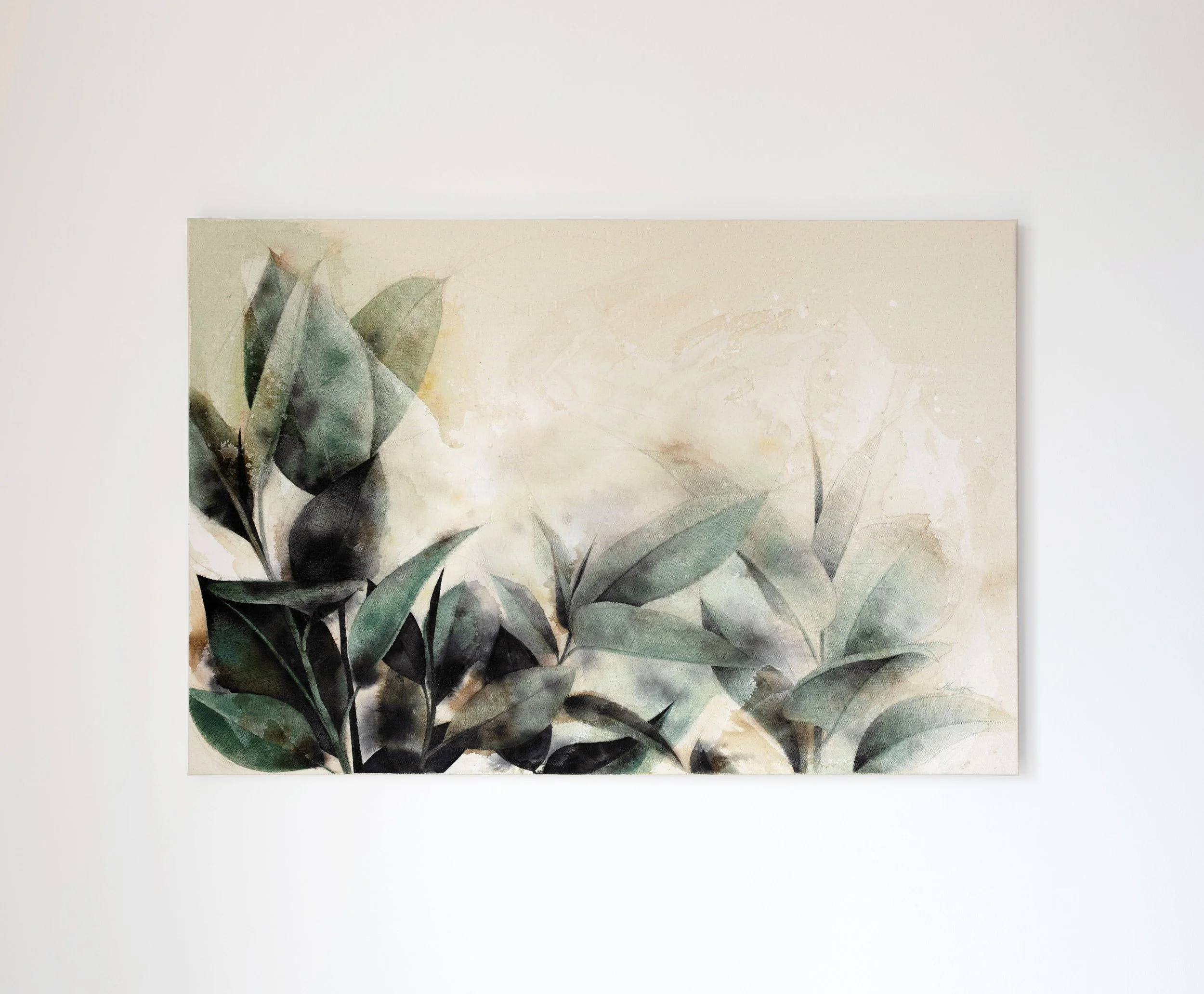 Oeuvre-coup-de-coeur-toile-Ficus-Elastica-MHSTM.jpg