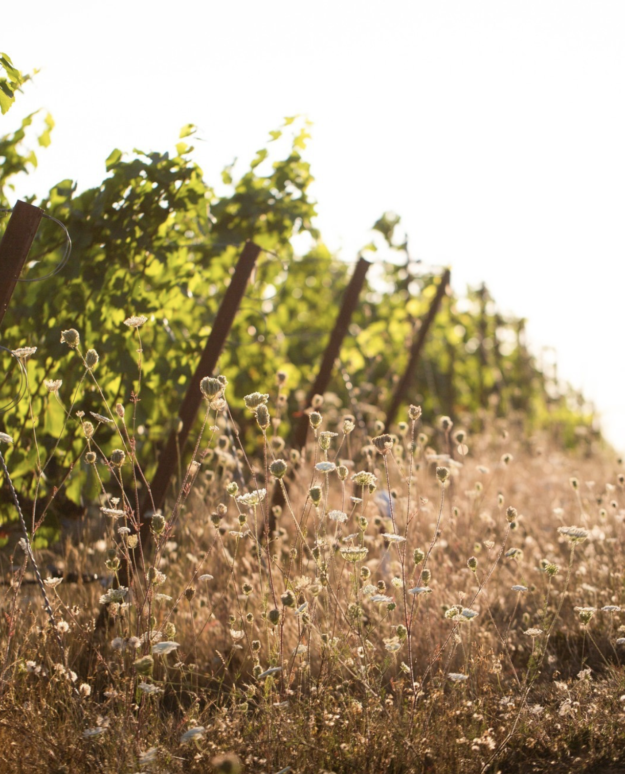 Screenshot 2026-03-10 at 6.11.12 PM.png