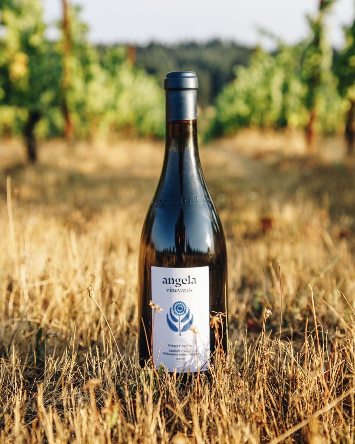 Screenshot 2026-03-10 at 6.09.44 PM.png