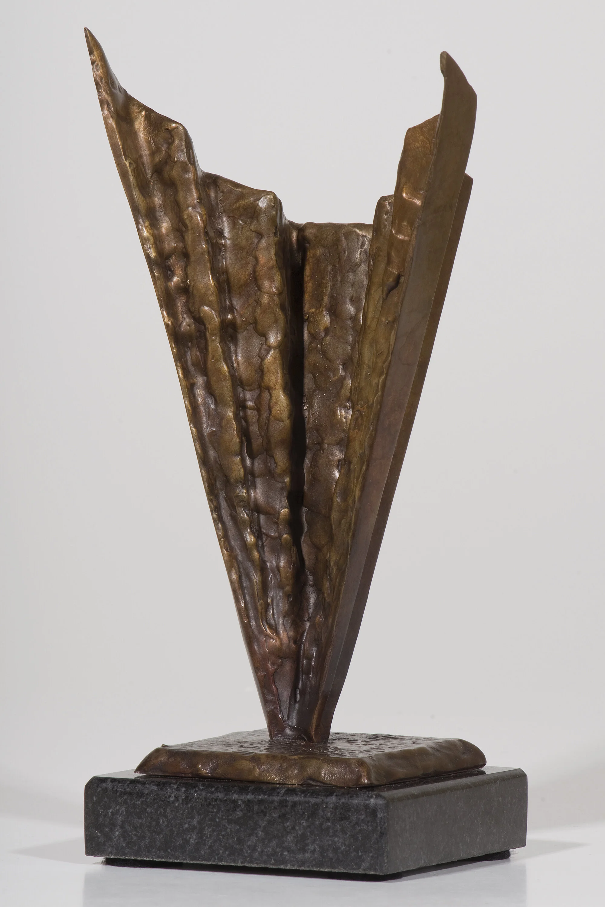 Jude Vasconcellos - SPL_0878 copy.JPG