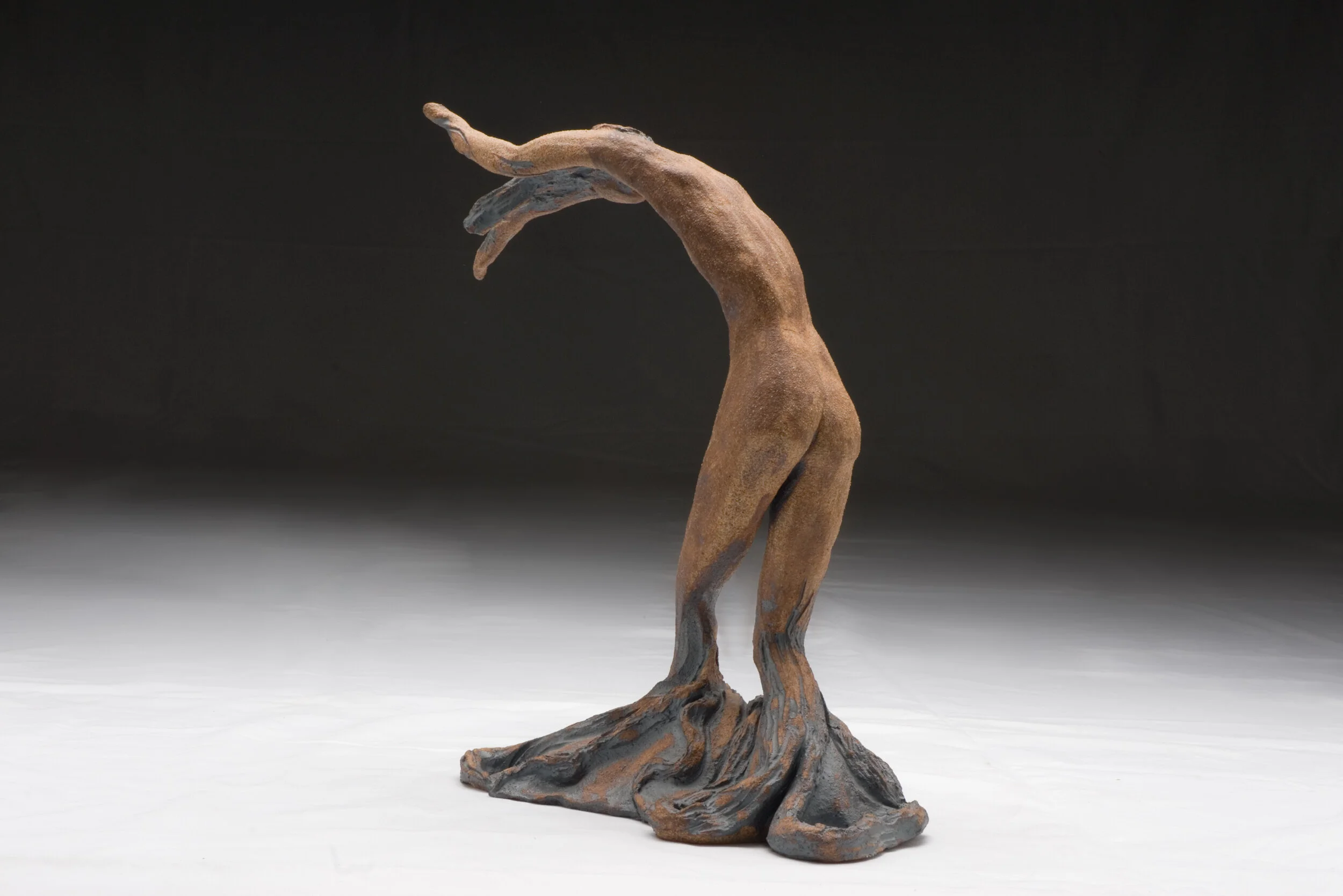 Jude Vasconcellos - Treeman-rear-5482 copy.jpg