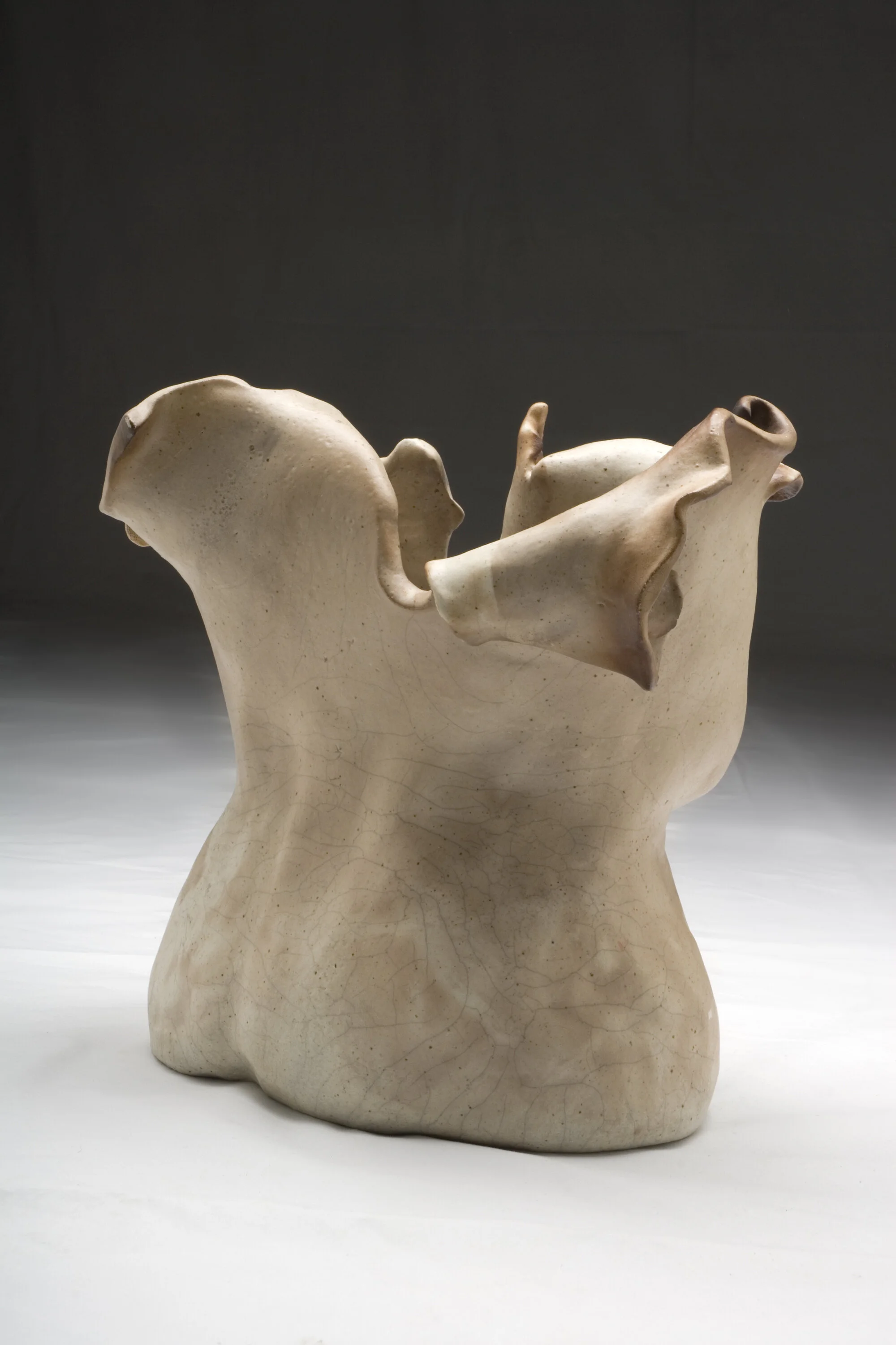 Jude Vasconcellos - Aged-rear-5563 copy.jpg