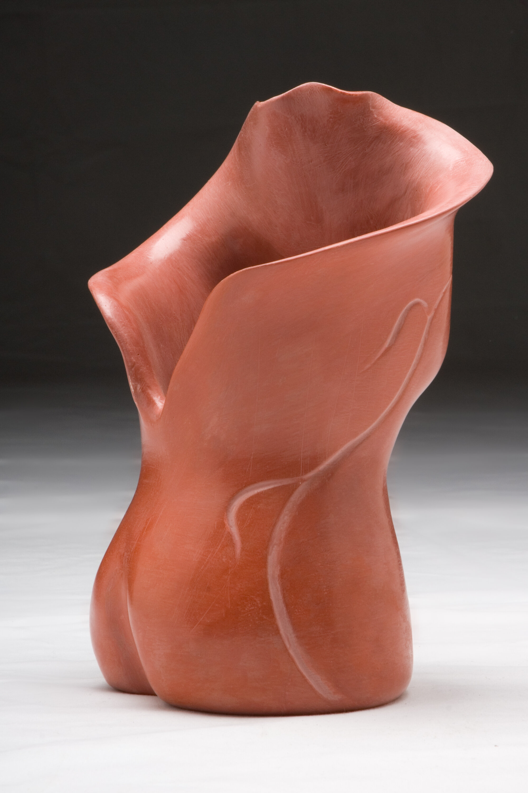 Jude Vasconcellos - Red Torso-rear-5557 copy.jpg