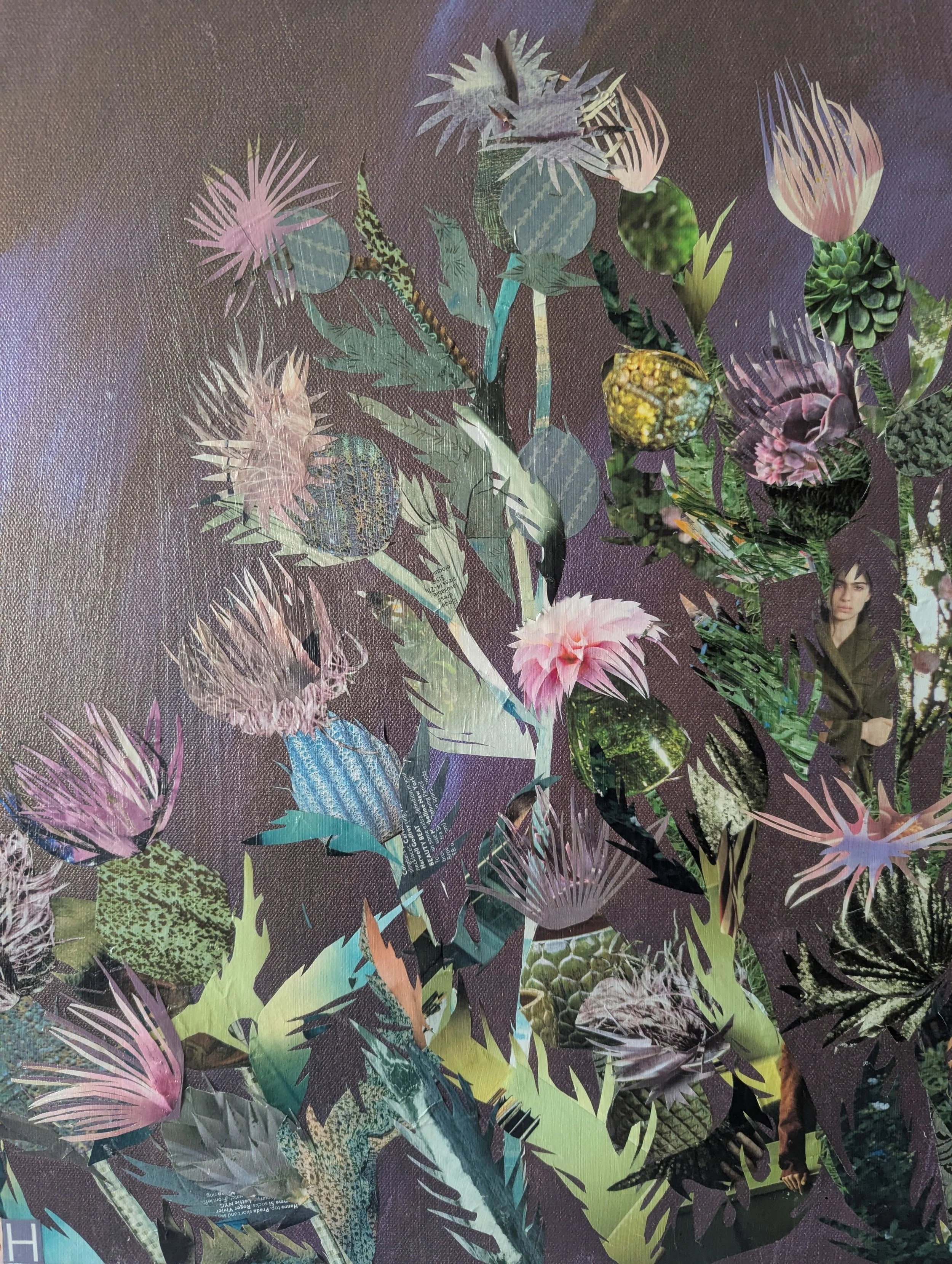 Thistle up close.jpg