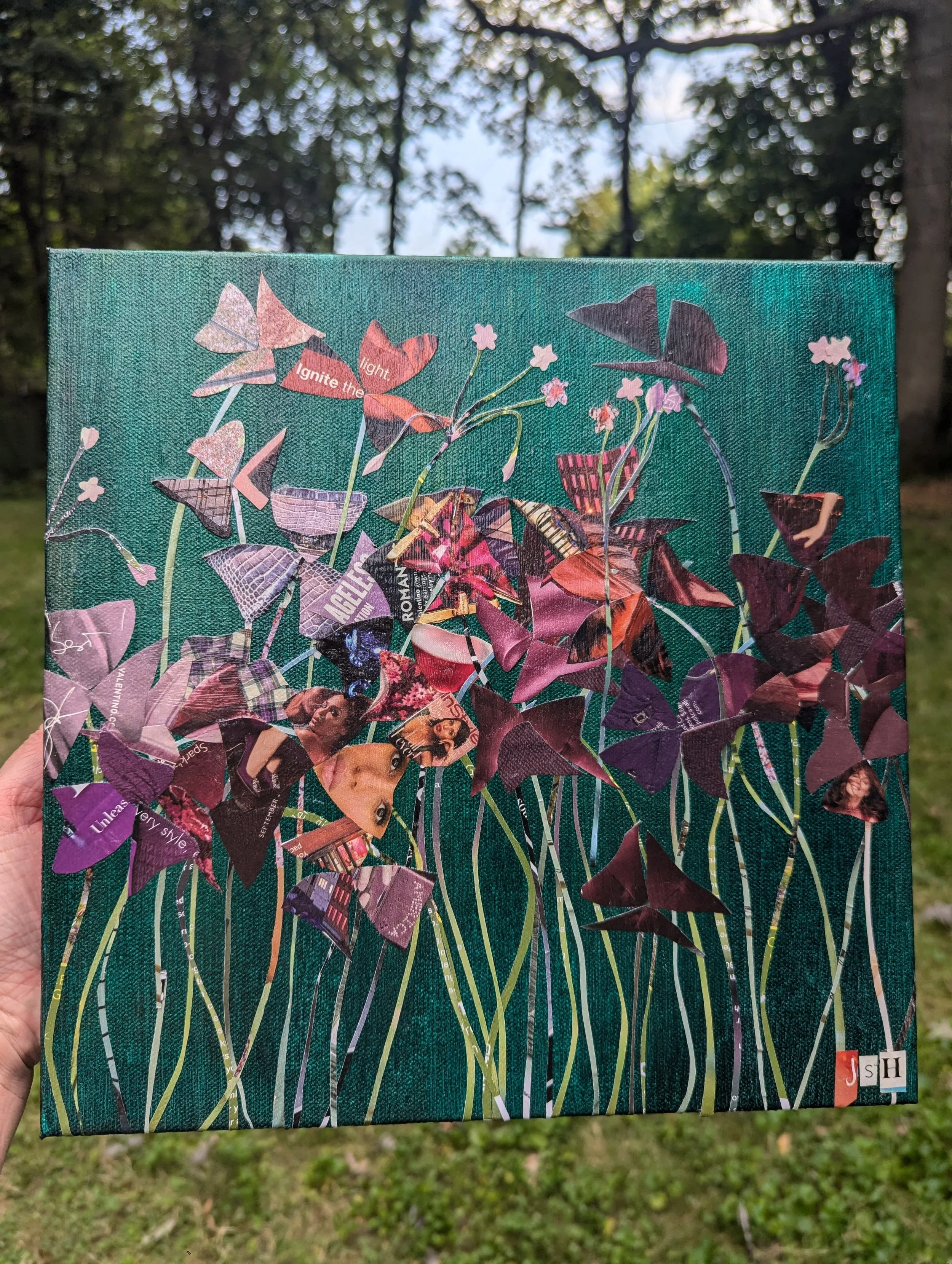 Kady's Purple Clover.jpg