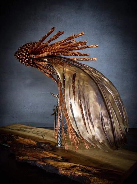 IMG_0906 Medium.jpeg