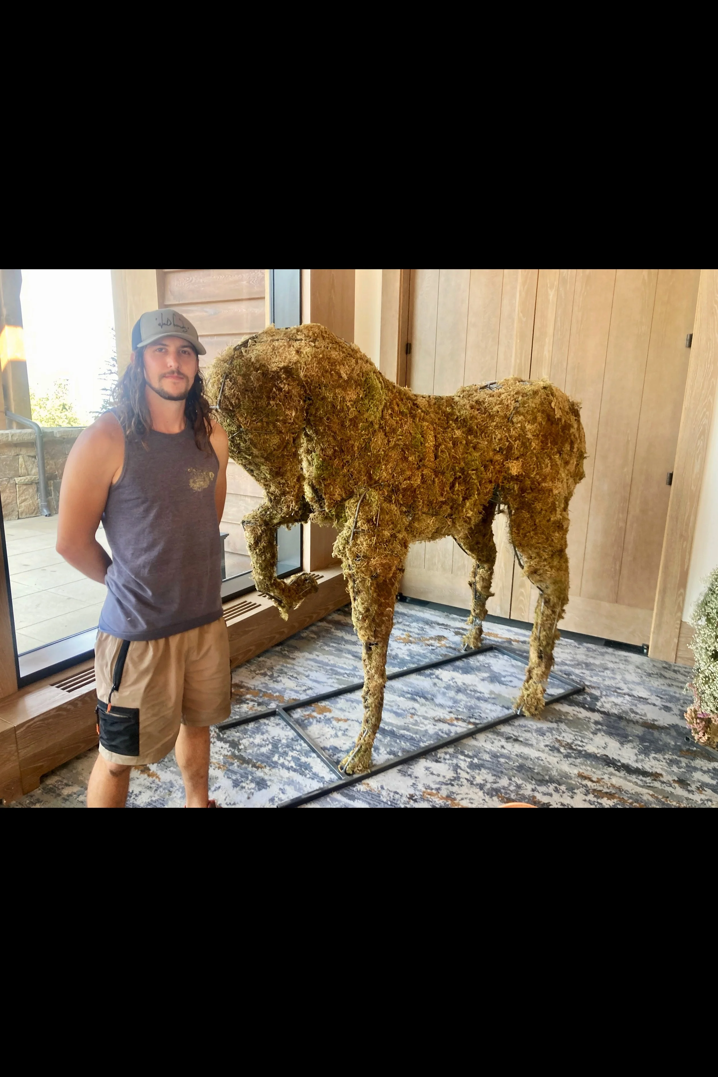 horse2.jpg