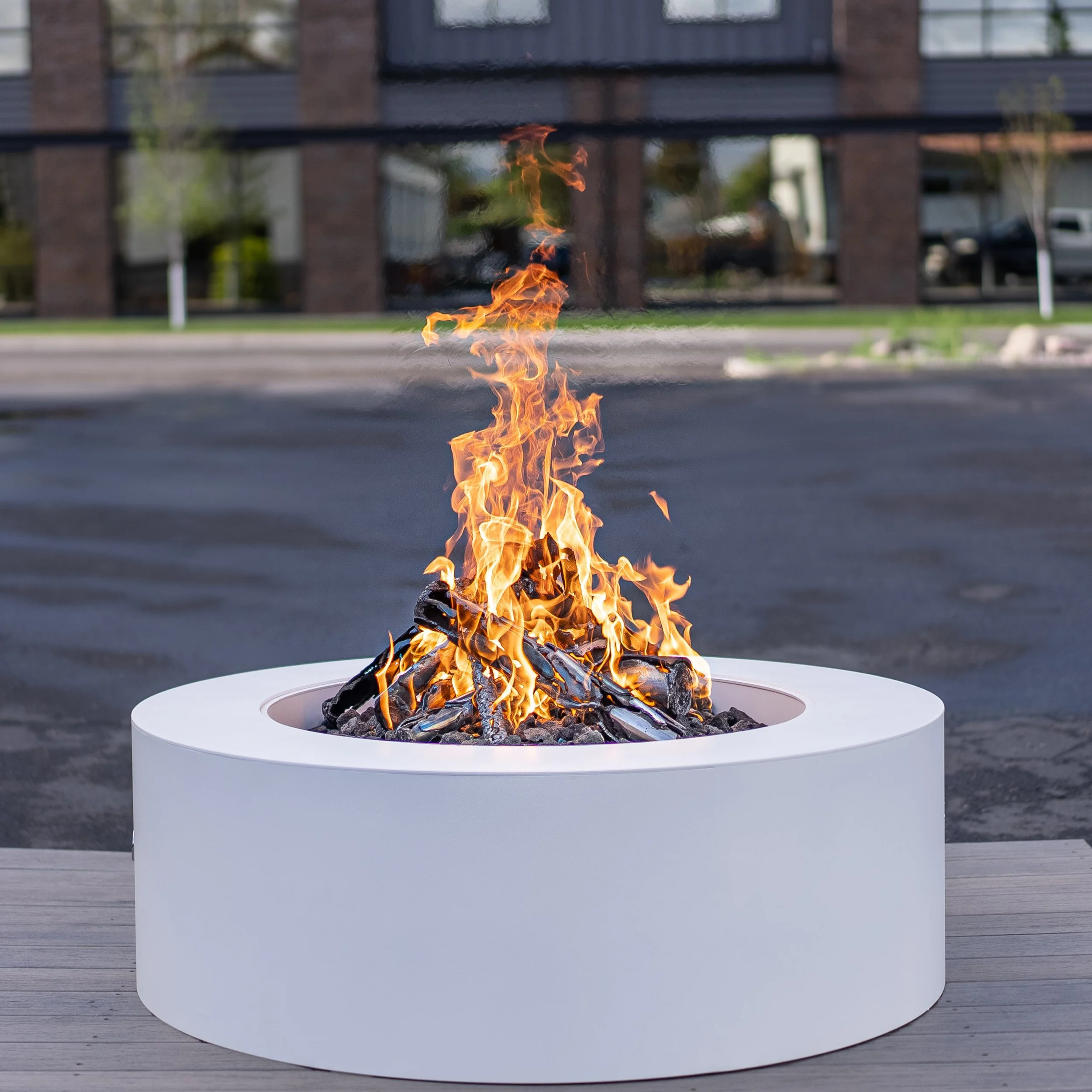 Stainless Ponderosa Pine Logs