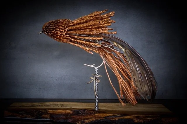 IMG_0905 Medium.jpeg