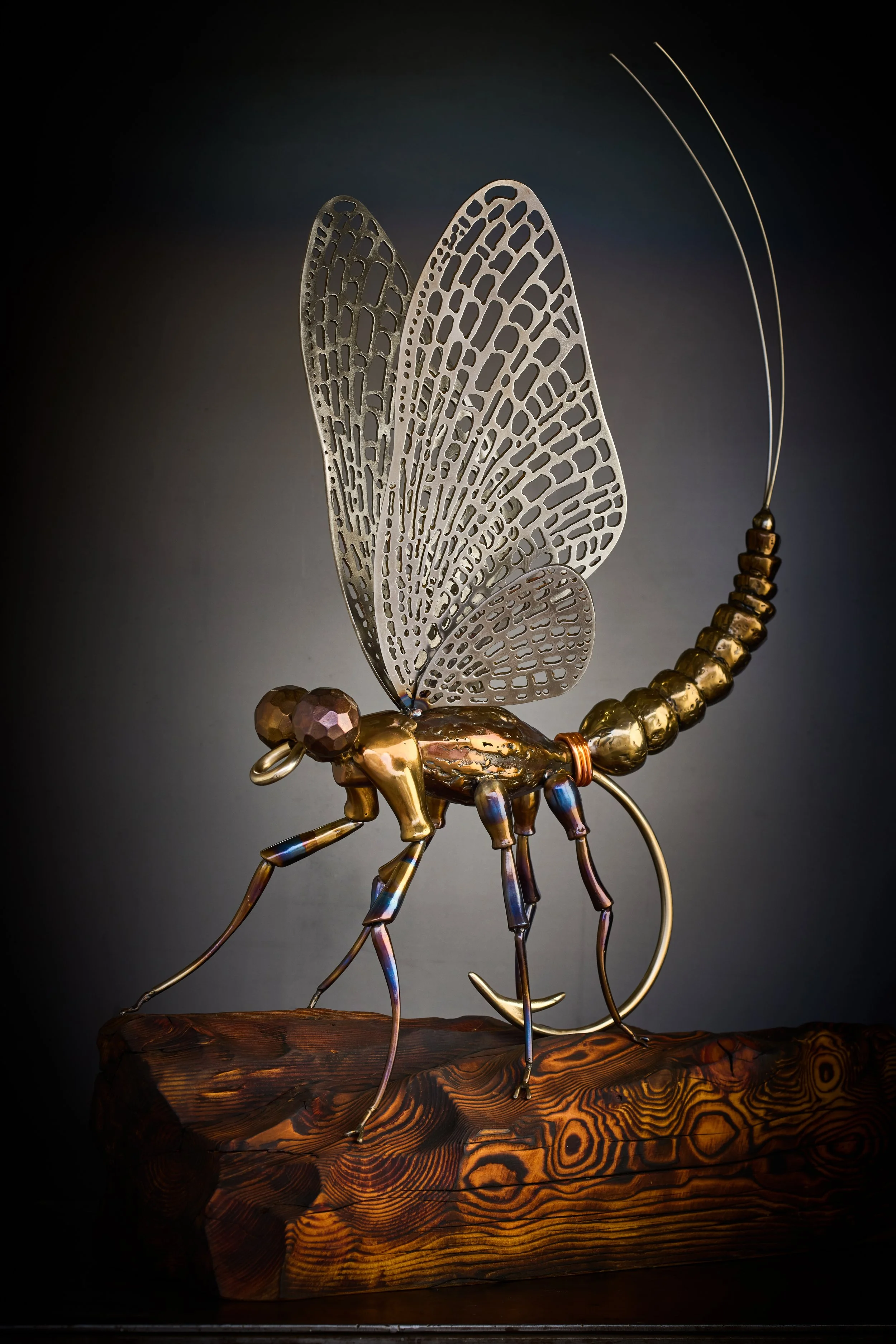 This ultra-realistic Mayfly was hand carved out of steel with detailed hand cut wings, accurately depicted proportions, and a large wooden base, against a dark background.