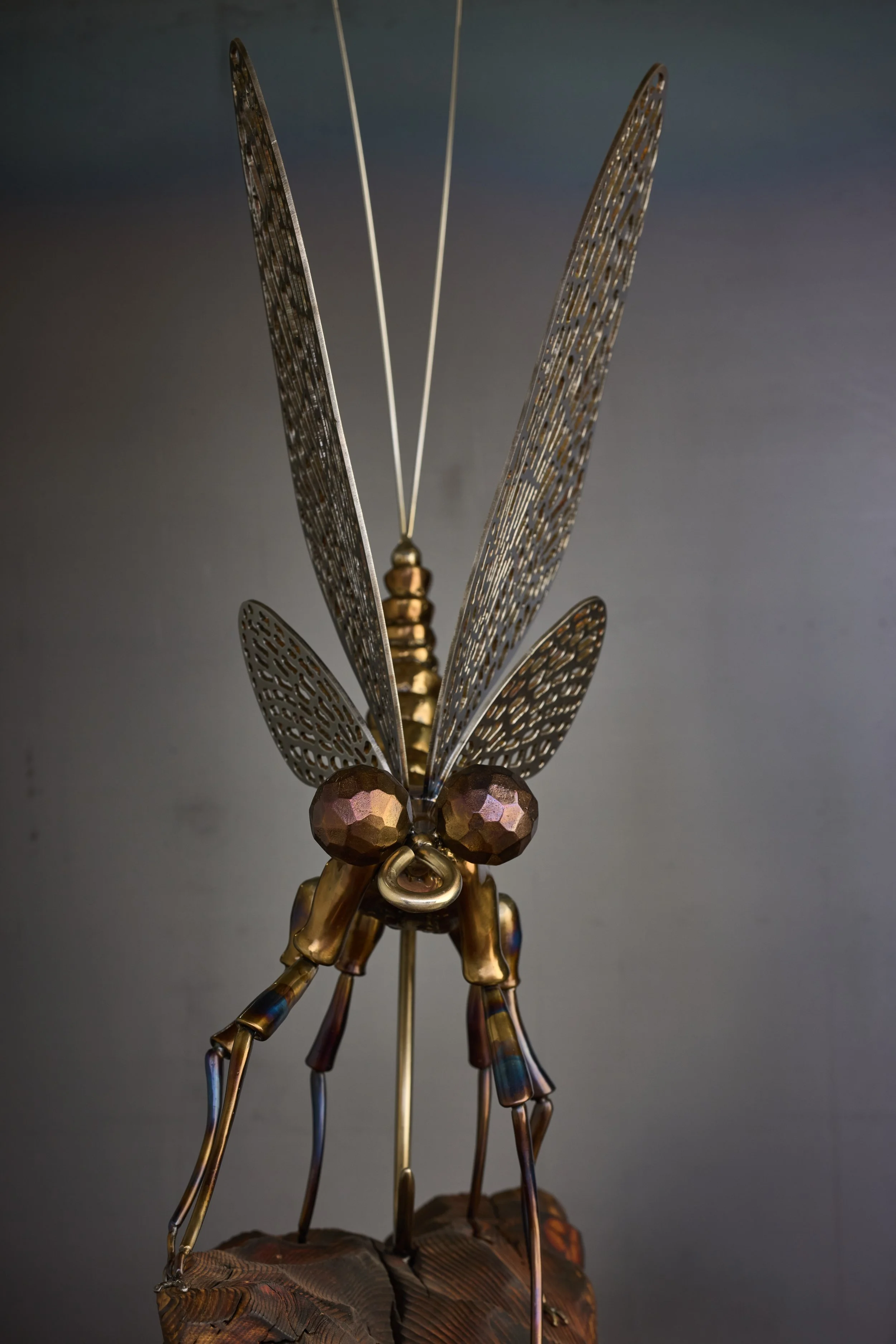 Sculpture of a Mayfly made from mild steel with detailed wings and large eyes.