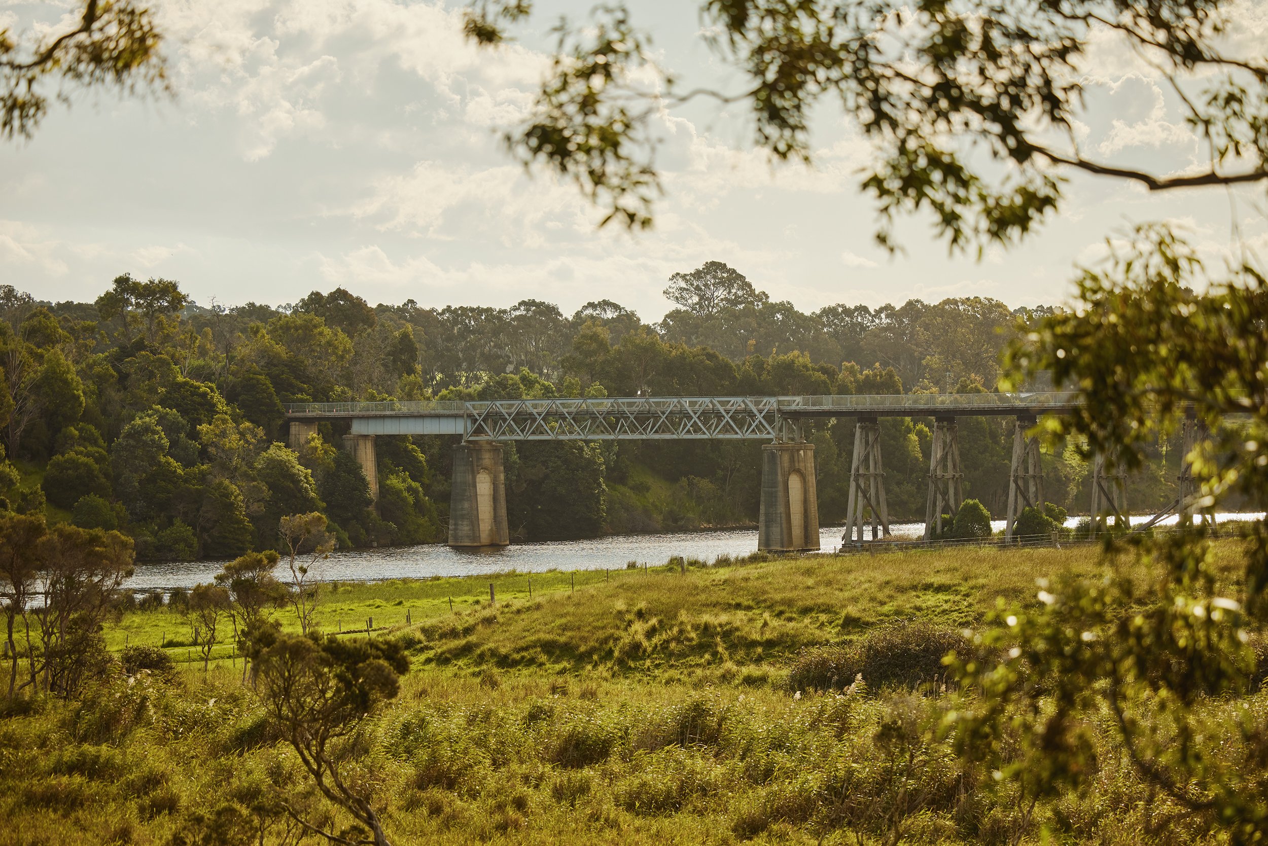 SOC_UnderTheSurface_Nicholson_Patricia Pittman_(1).jpg