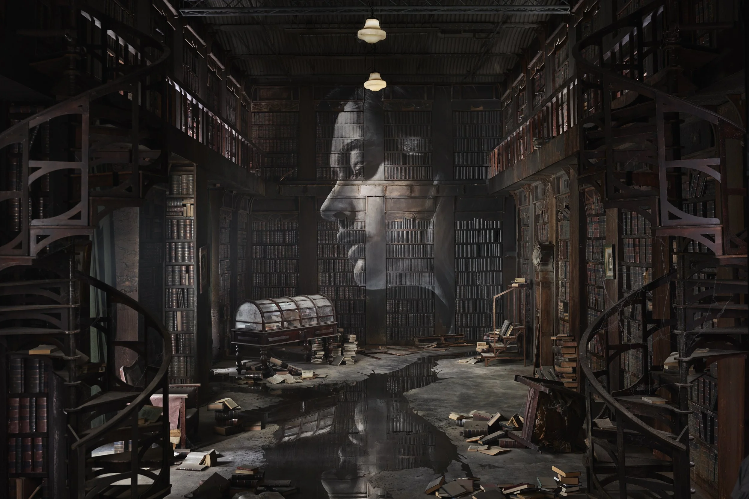 The Library_Credit: RONE.jpg