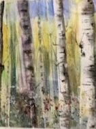 Aspen summer