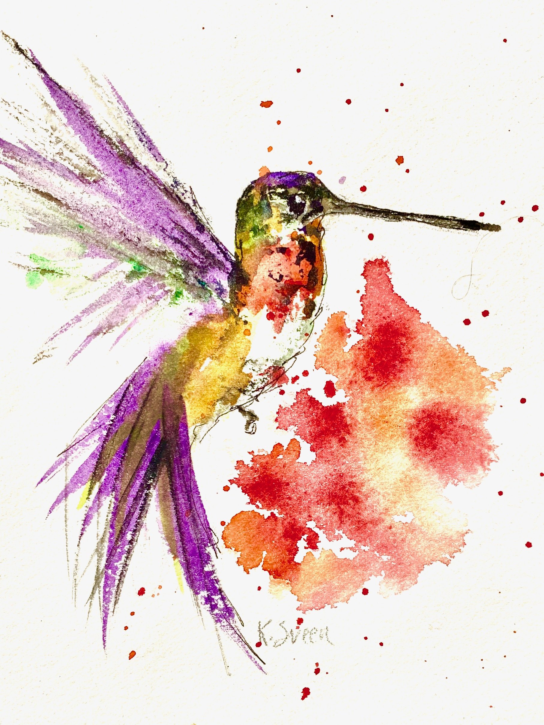 Purple-Green Hummingbird
