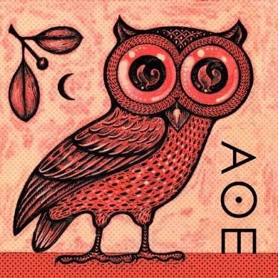 AthenasOwl.jpg