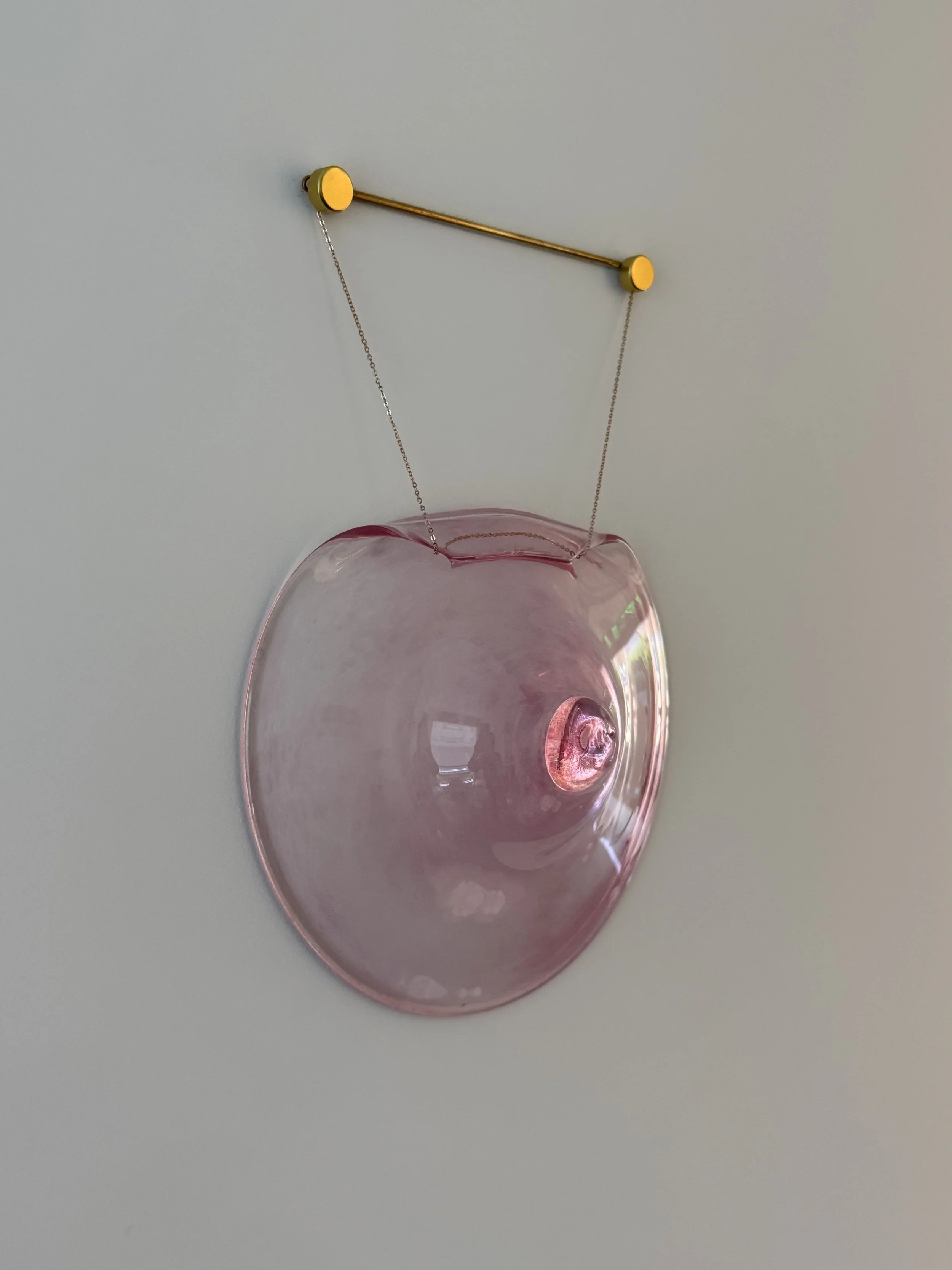 Pink Breast Plate (Youth 1)