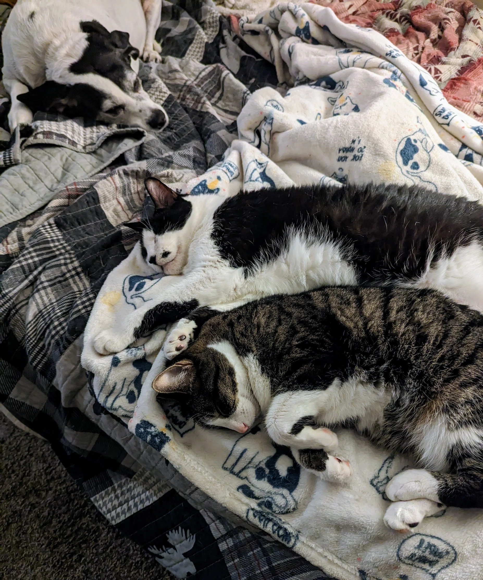 Holding it Together