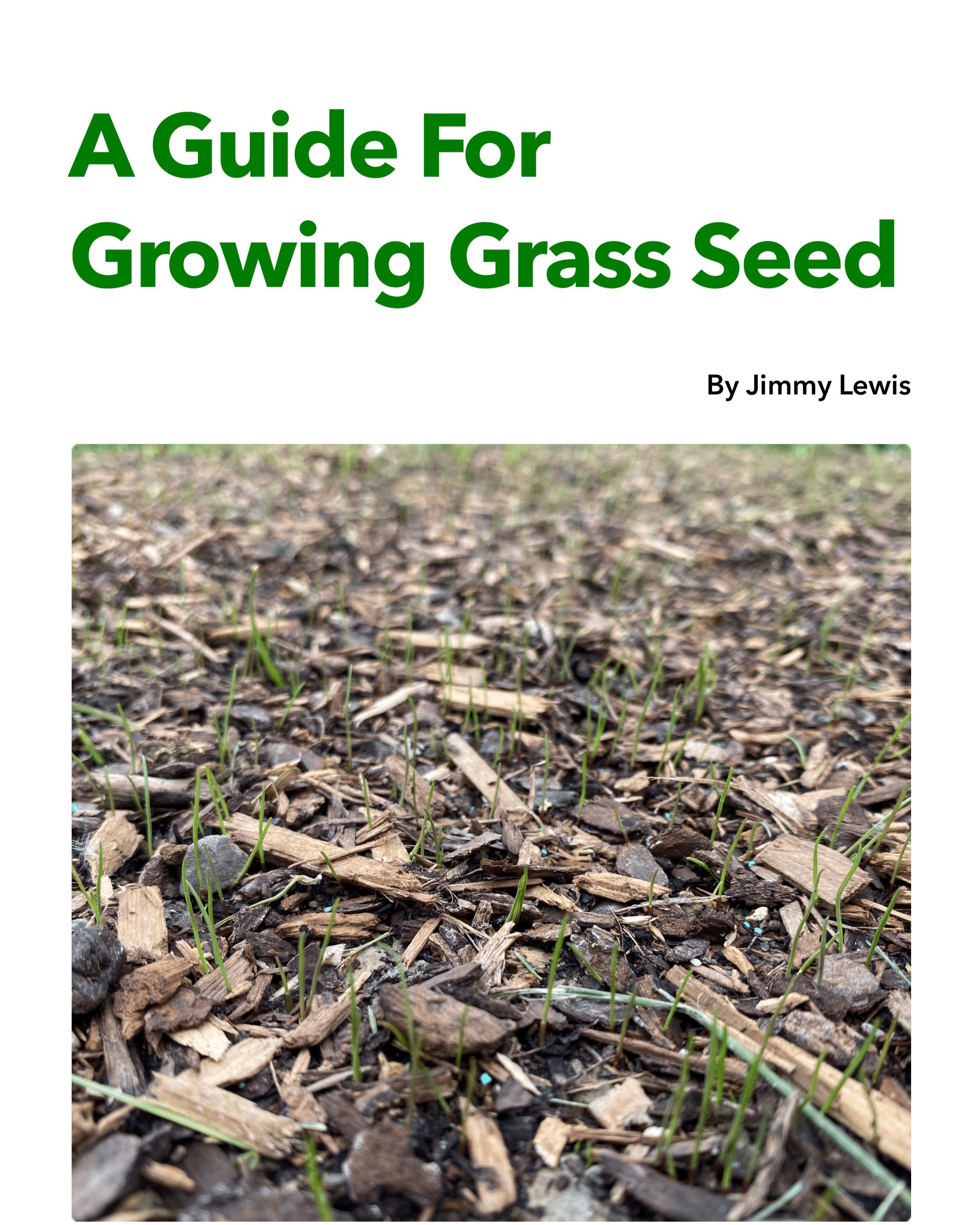 A+Guide+For+Growing+Grass+Seed+-+cover-1.jpg