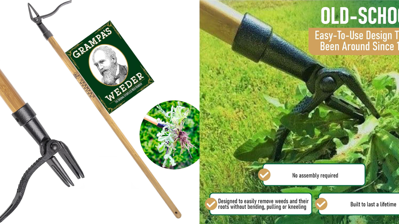 Grampas Weeder