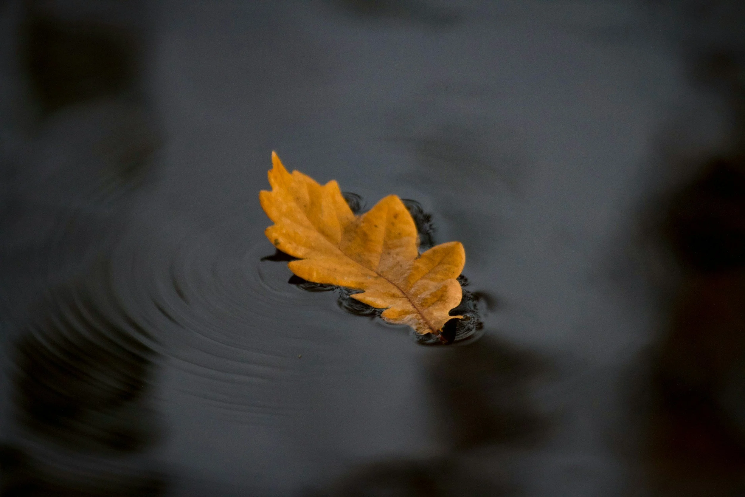 Presence Is the New Productivity