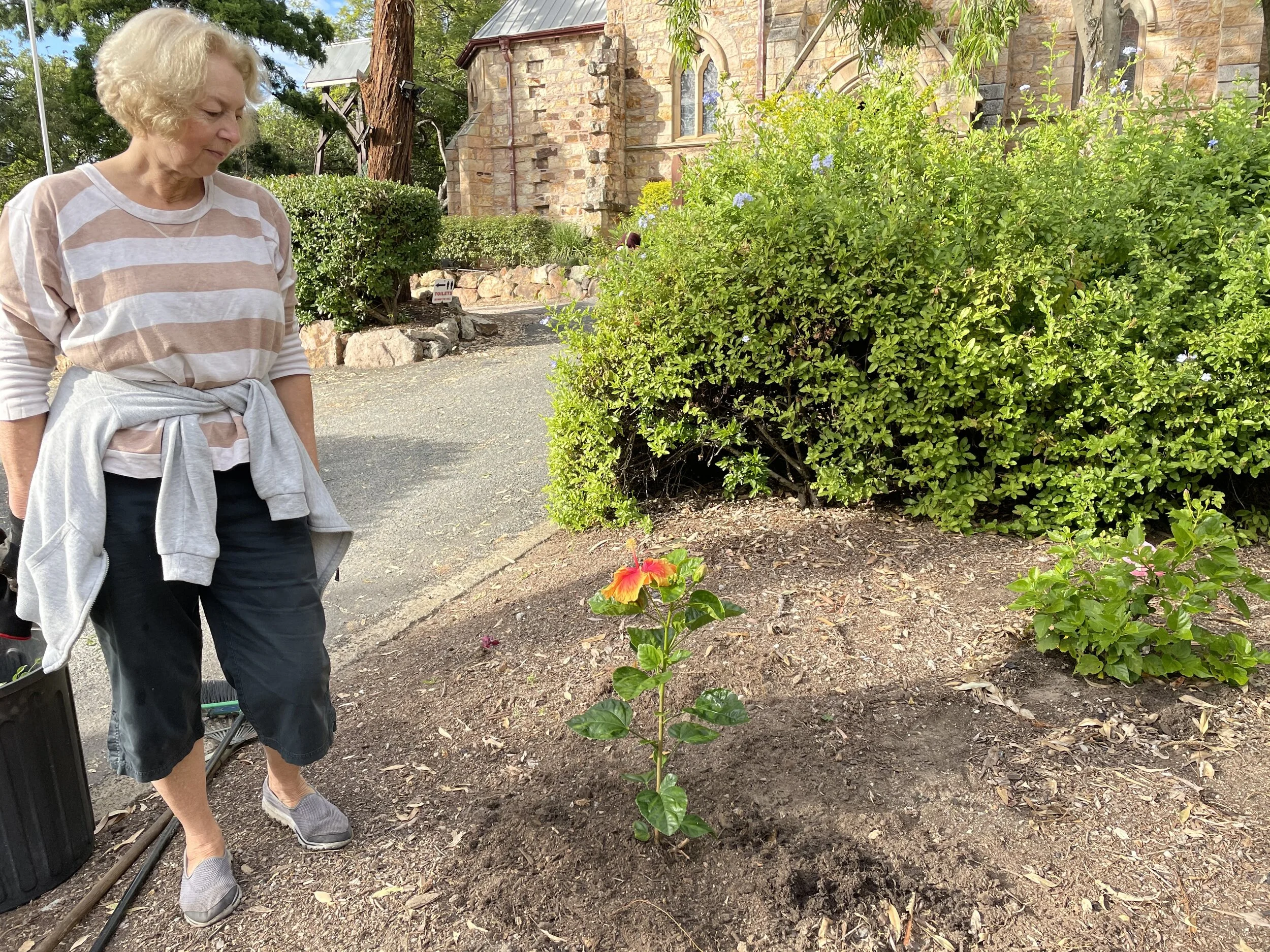 Gardening at St Mary's                