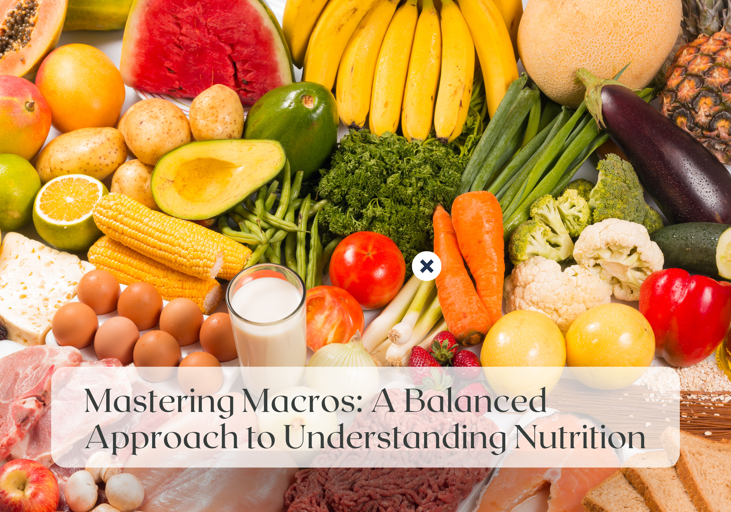Wellness Wednesday: A Balanced Approach to Understanding Nutrition