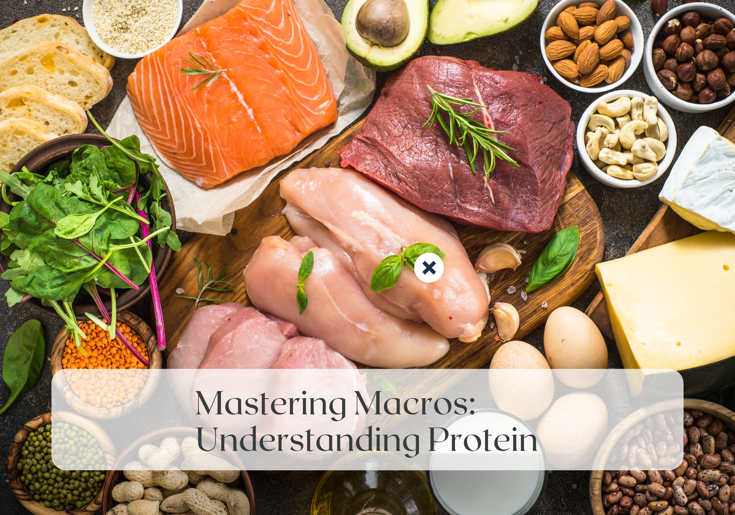 Wellness Wednesday: Understanding Protein