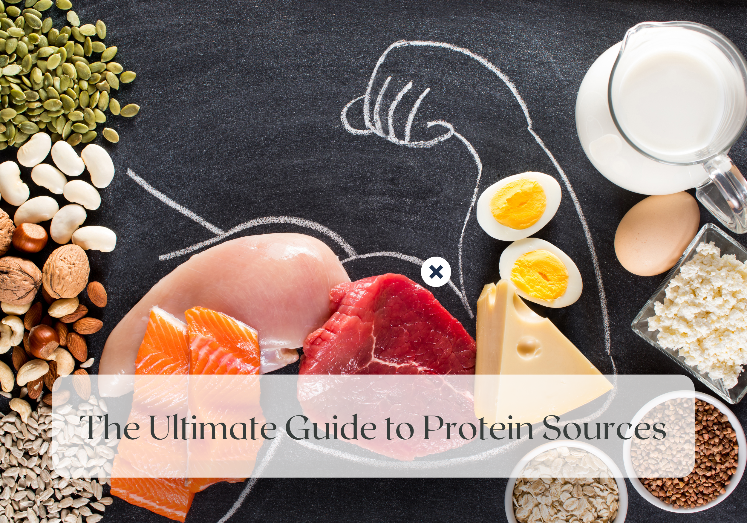 Wellness Wednesday: The Ultimate Guide to Protein Sources