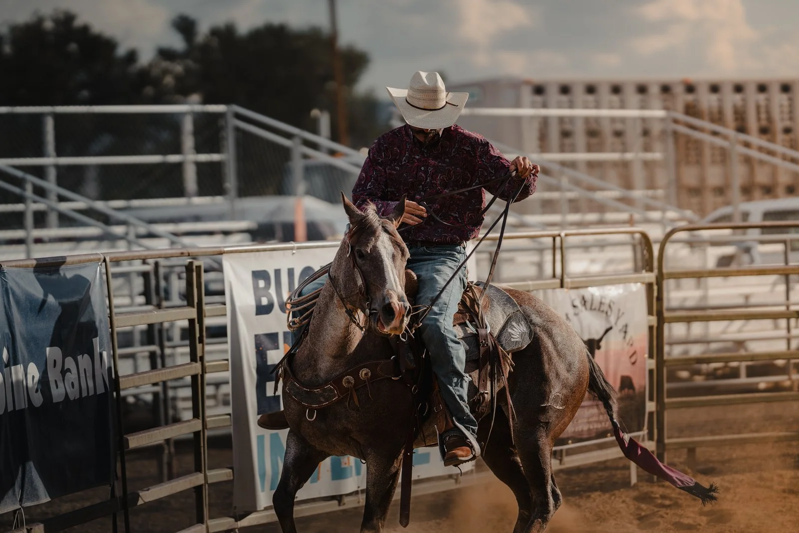 Ranch Rodeo-5.jpg
