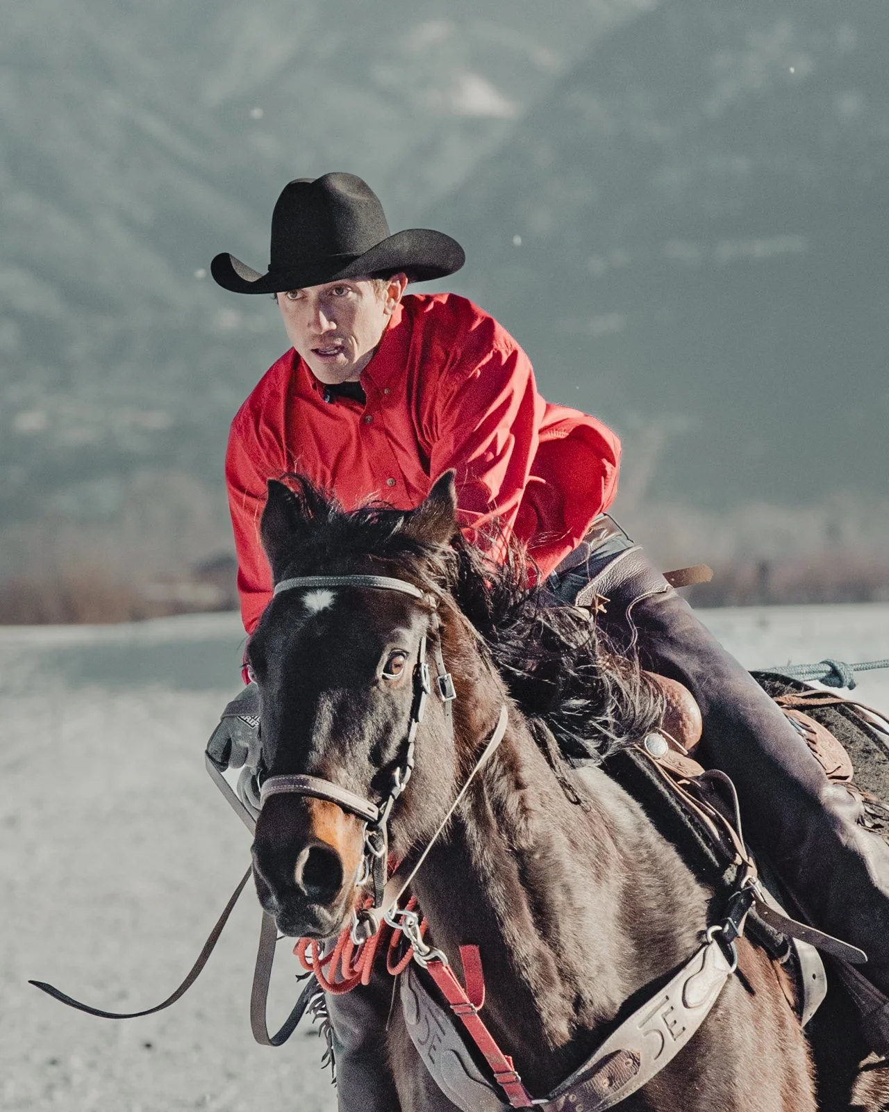 SkiJoring-17.jpg