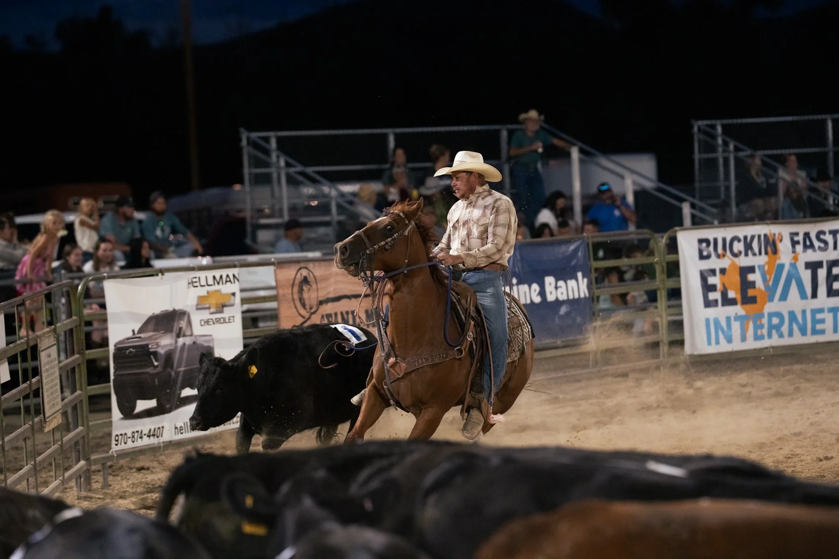 Rodeo-20.jpg
