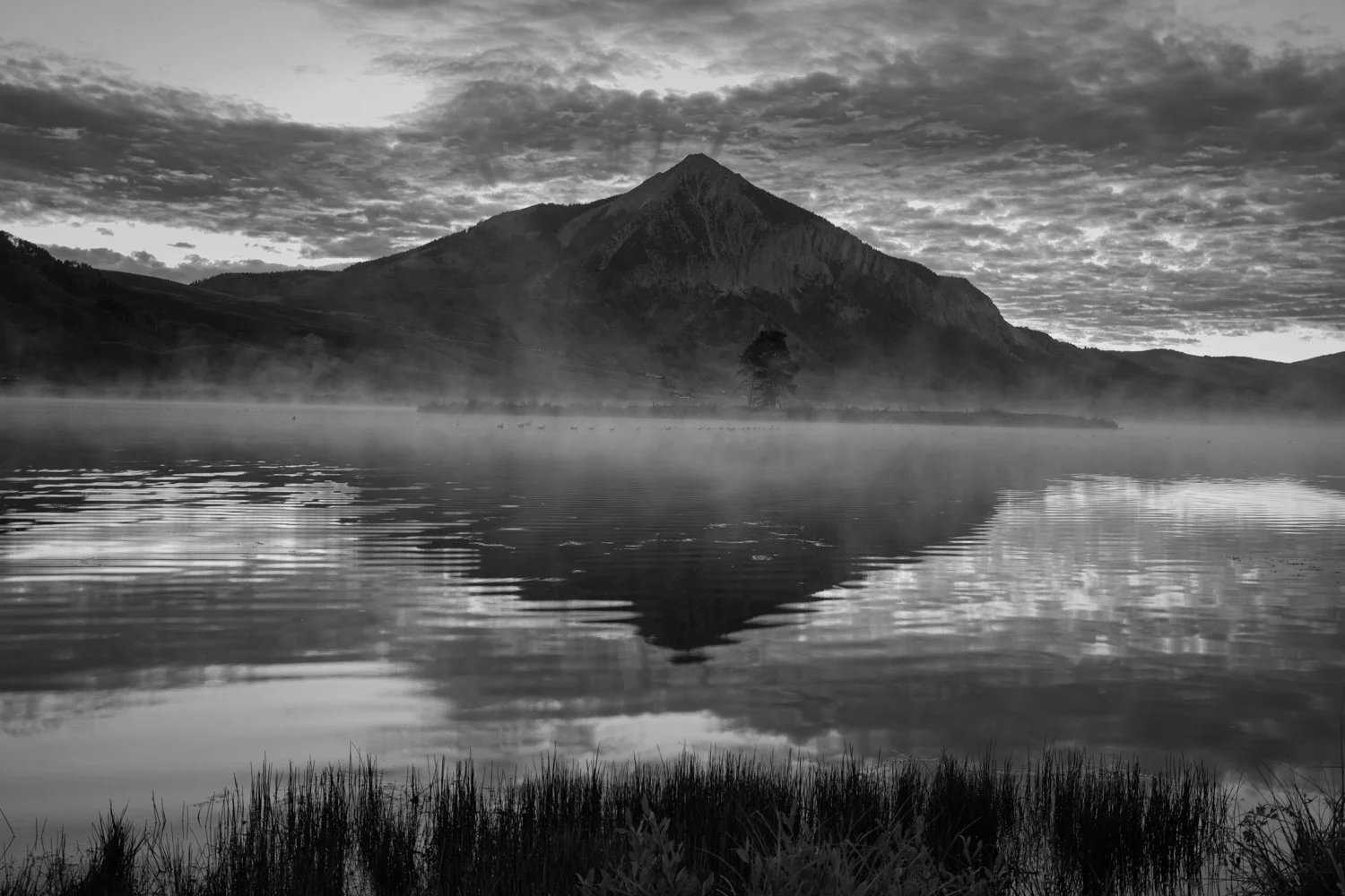 Crested Butte-9.jpg