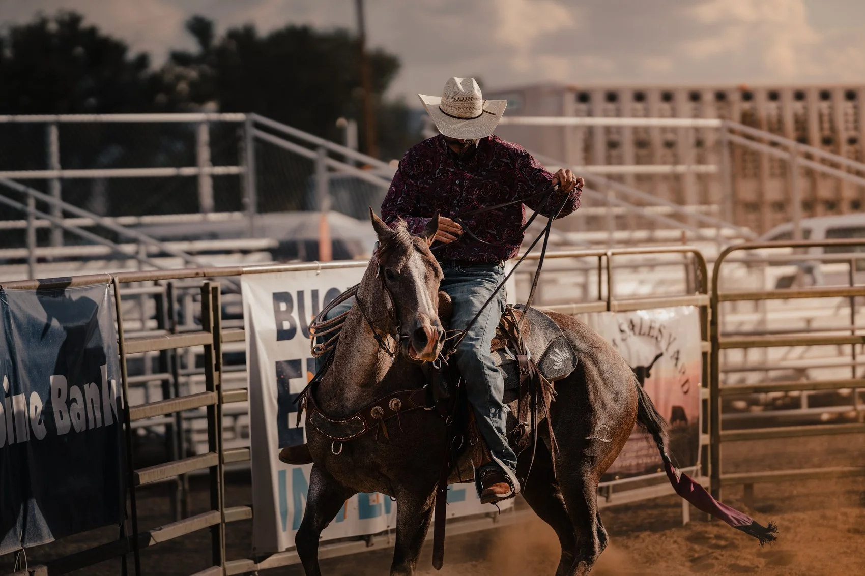 Rodeo-6.jpg