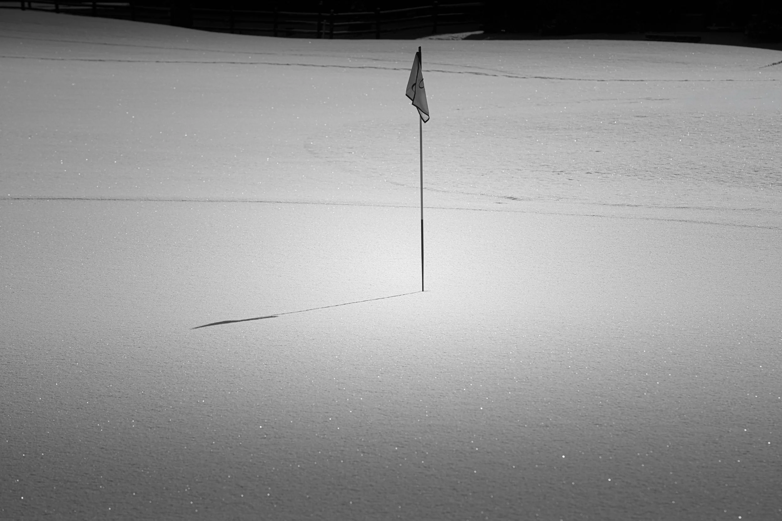 Winter Rules-6.jpg