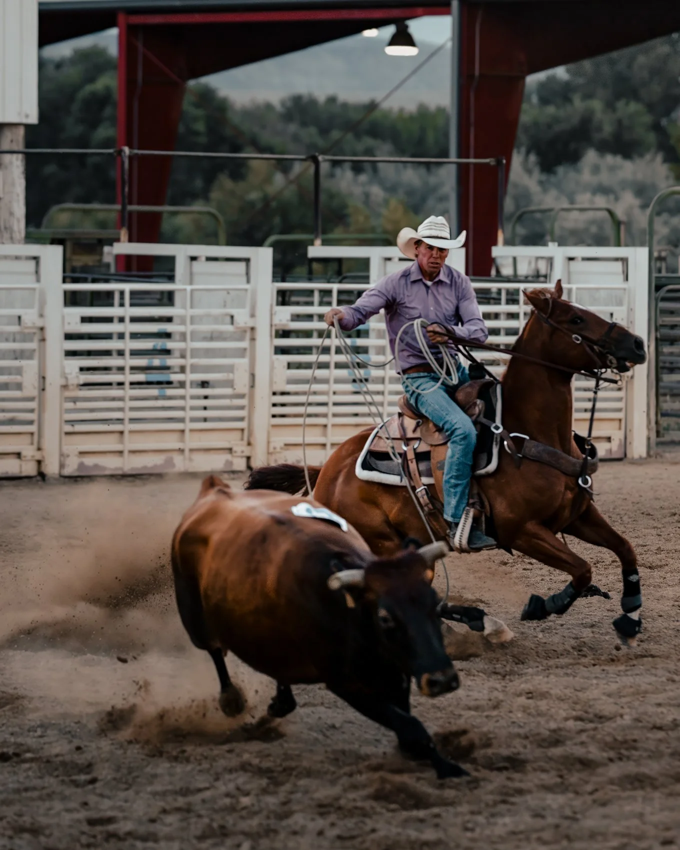 Rodeo-16.jpg