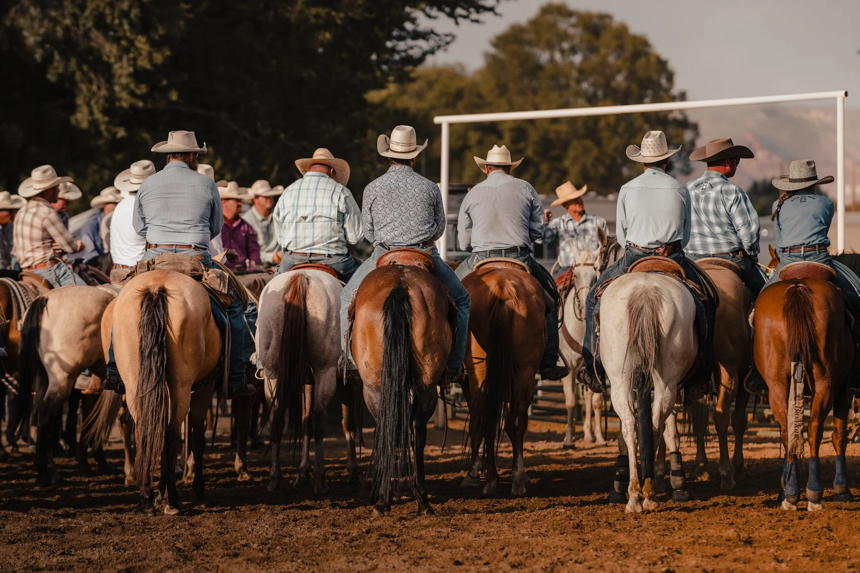 Rodeo-8.jpg