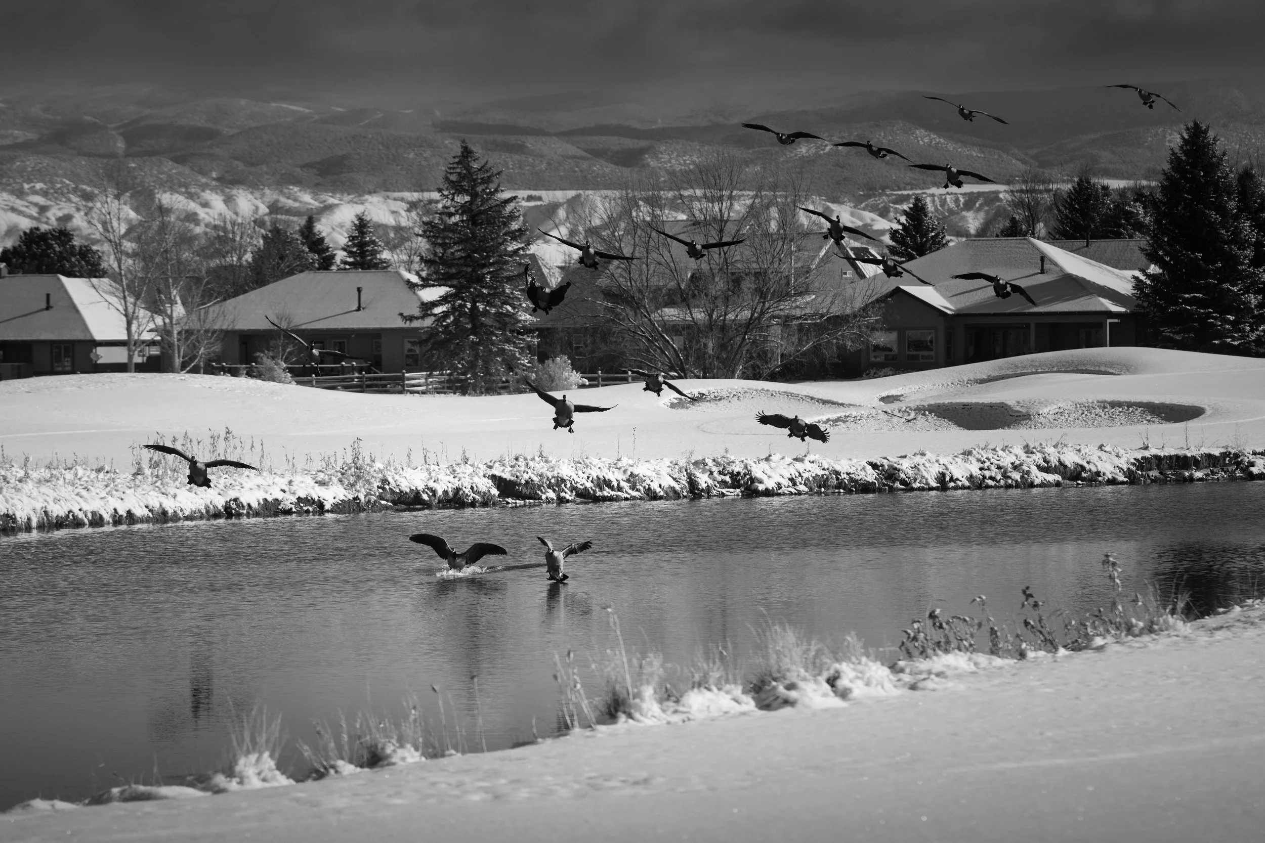 Winter Rules-8.jpg