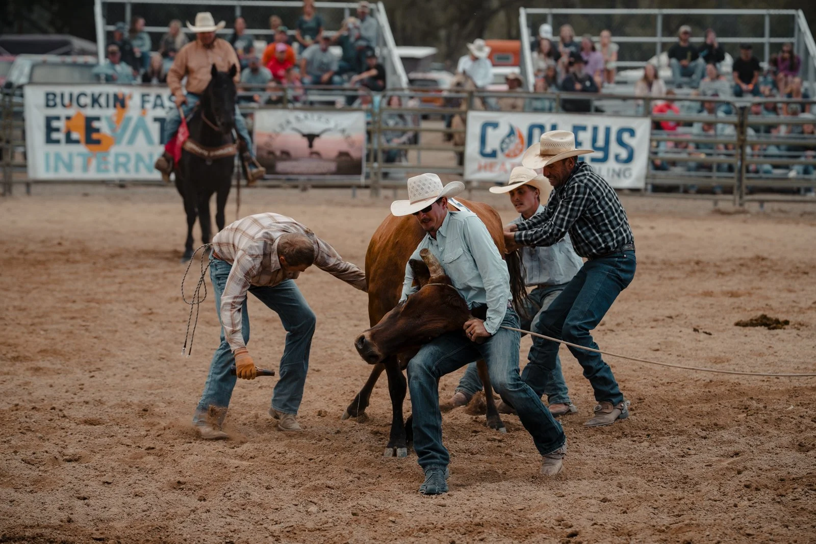 Ranch Rodeo-13.jpg