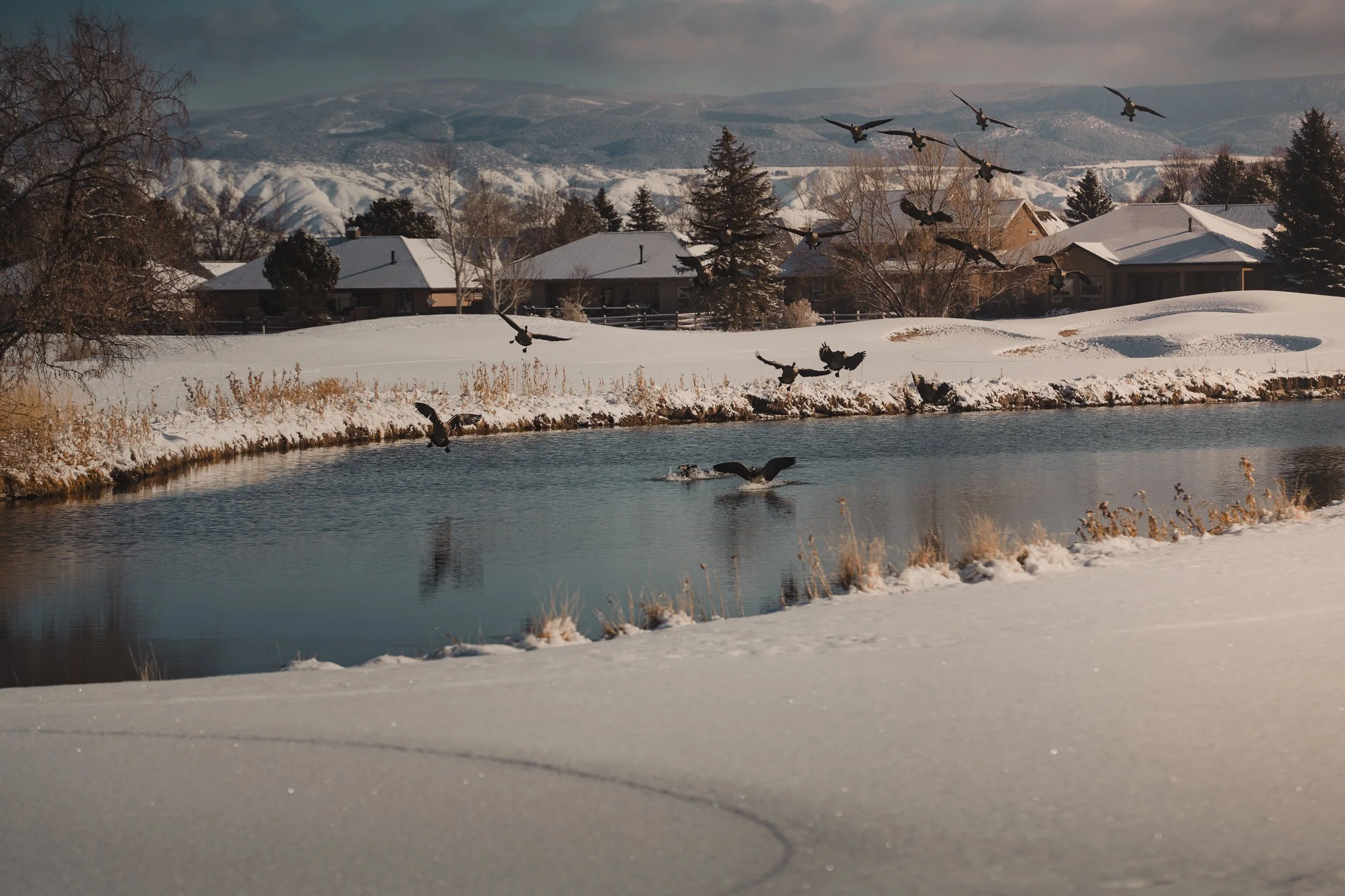 Friday Dispatch-Issue No. 4 | Care You Don’t See