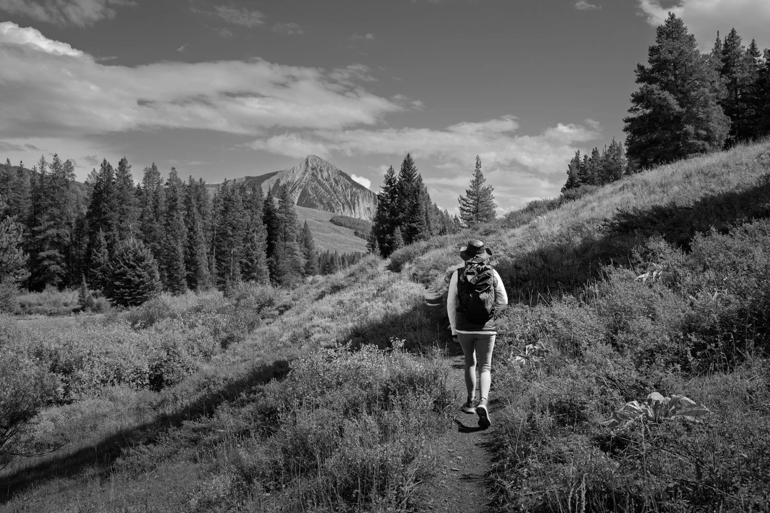Crested Butte-4.jpg