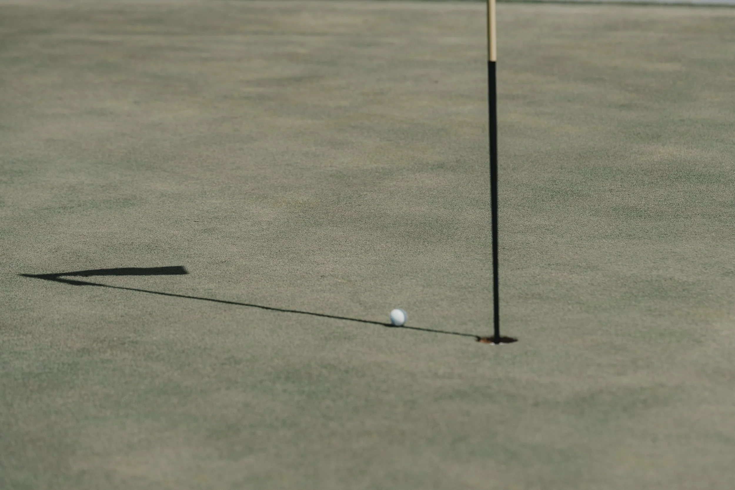 MemberGuest-16.jpg