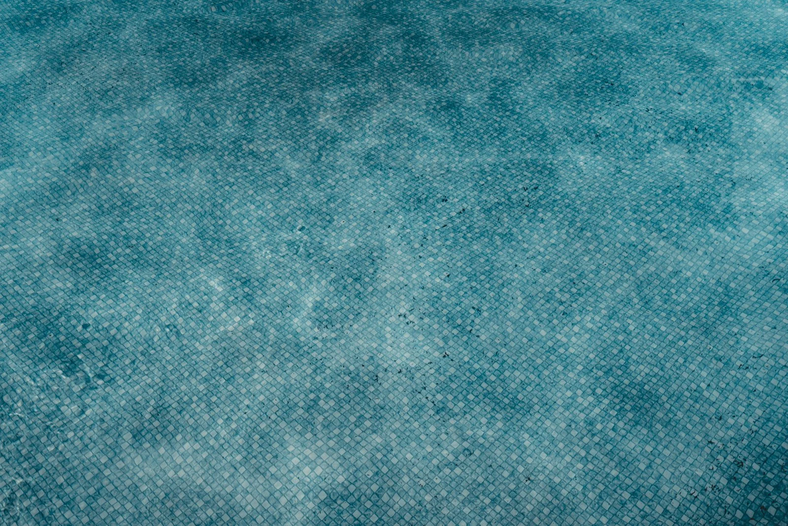 Pool Day-7.jpg