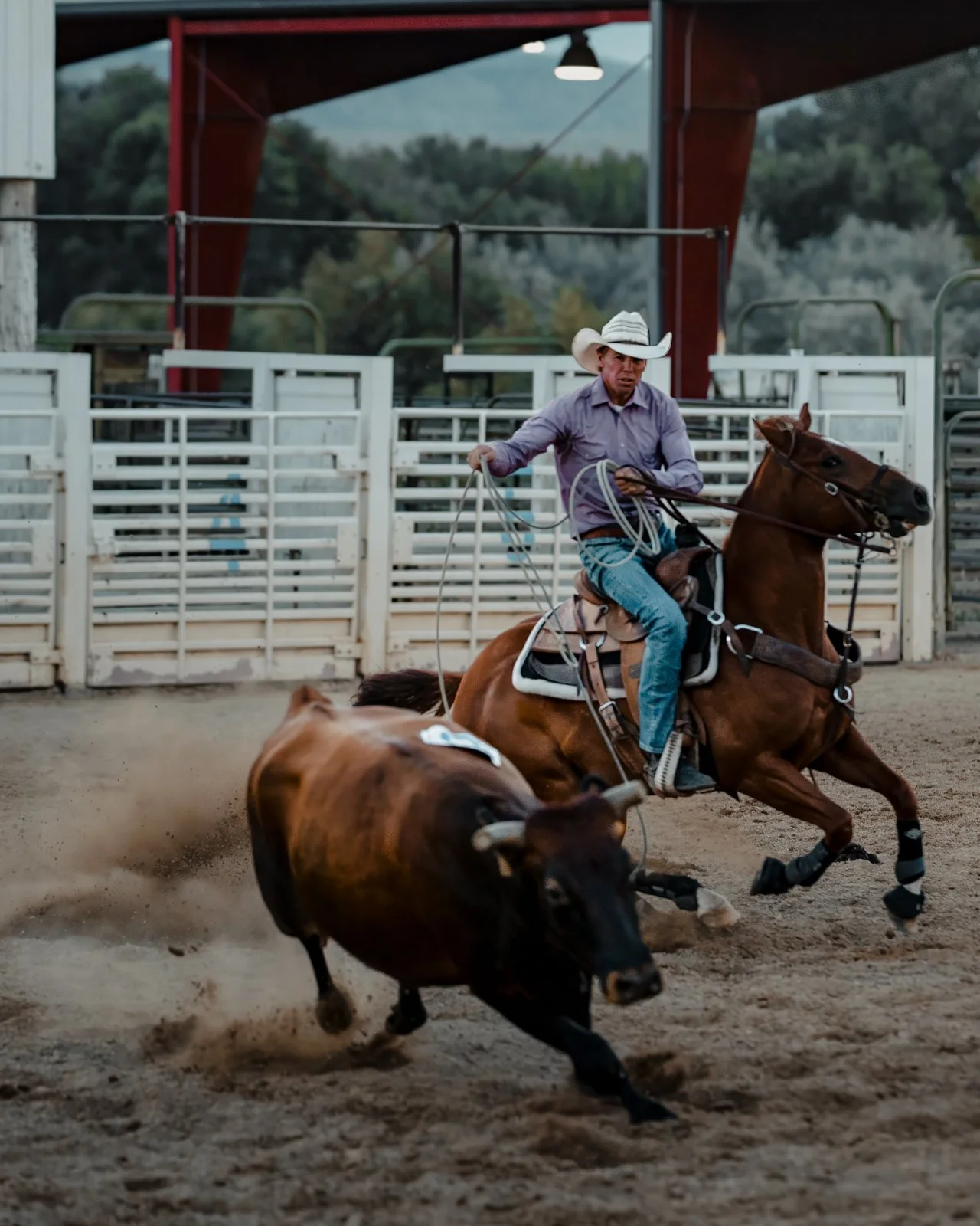 Ranch Rodeo-16.jpg