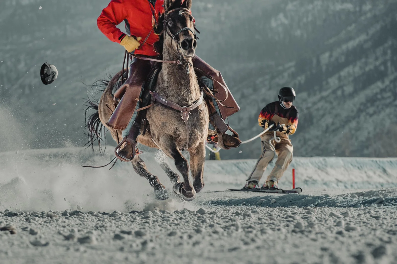 SkiJoring-14.jpg
