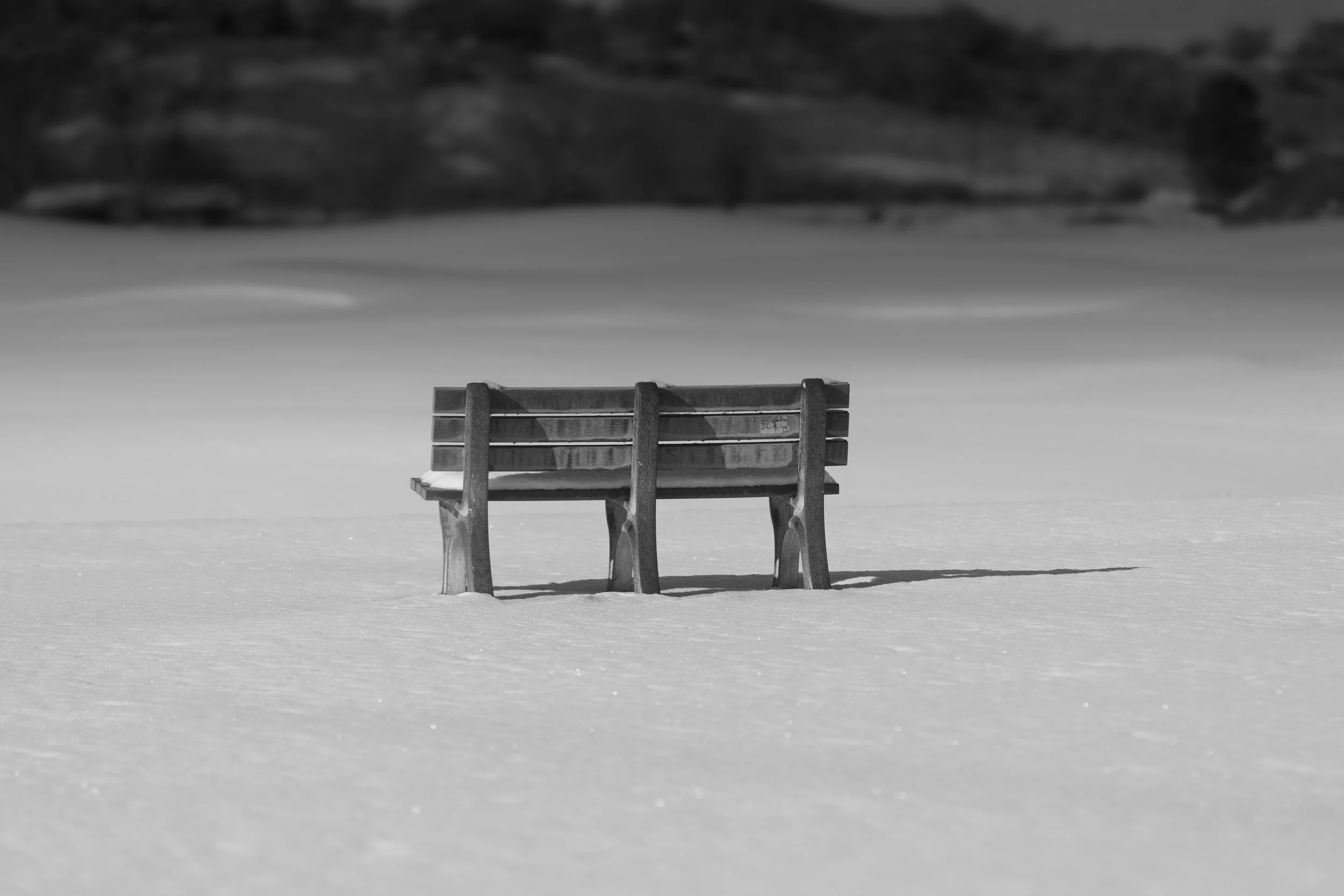 Winter Rules-3.jpg