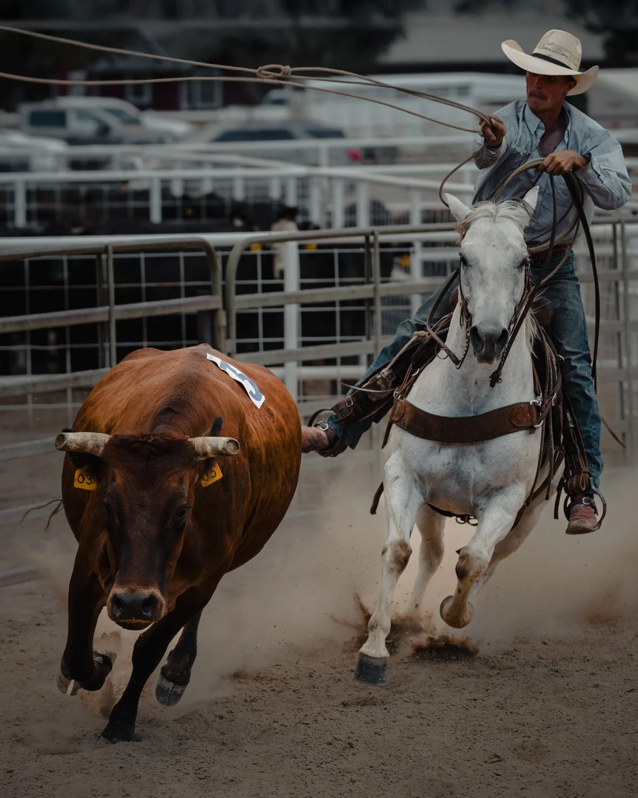 Ranch Rodeo-12.jpg