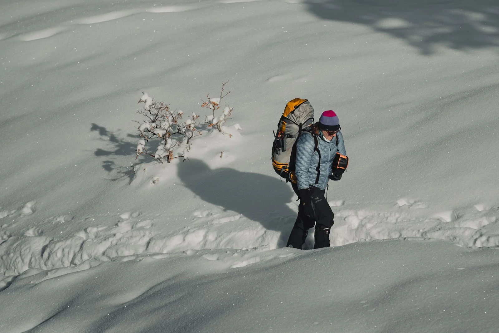 Ouray Ice Climbing.jpg