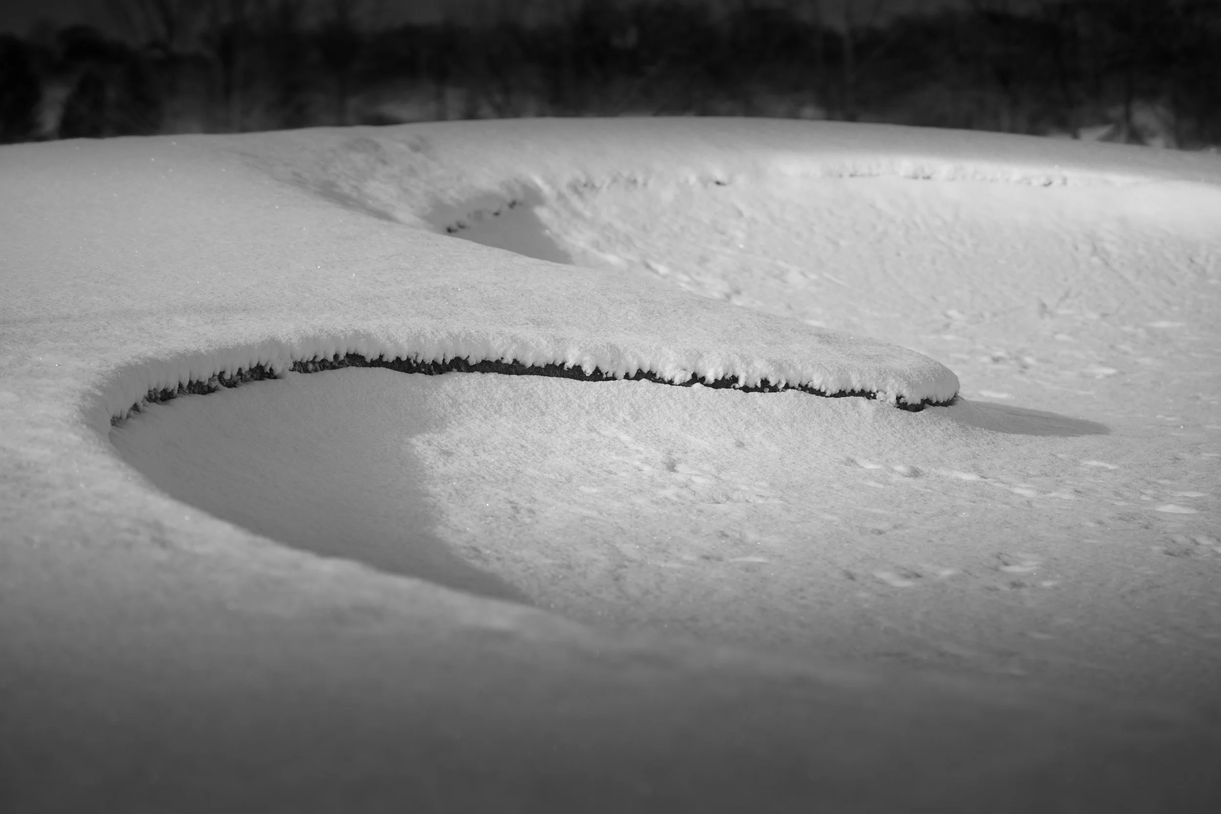 Winter Rules-7.jpg